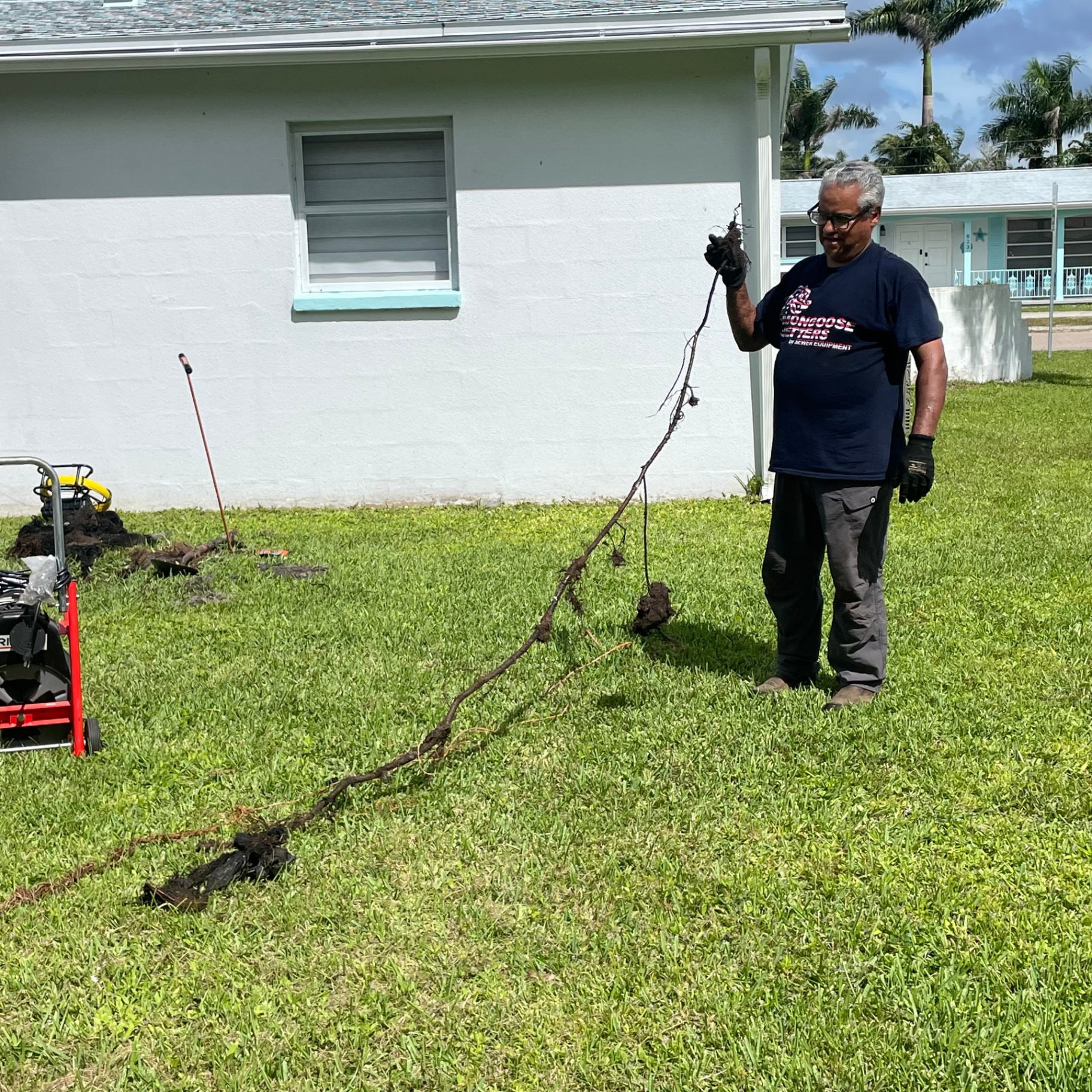The Rooter Sewer and Drain Man pulling a massive tree root mass out of a clogged sewer line in Southwest Florida